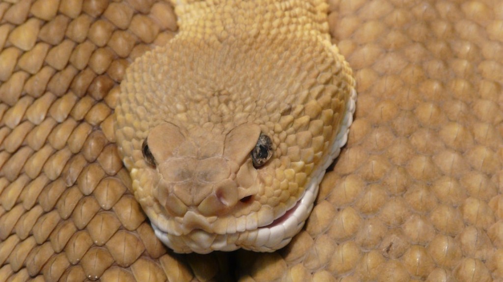 Mga Hayop na Kumakain ng Python Snake